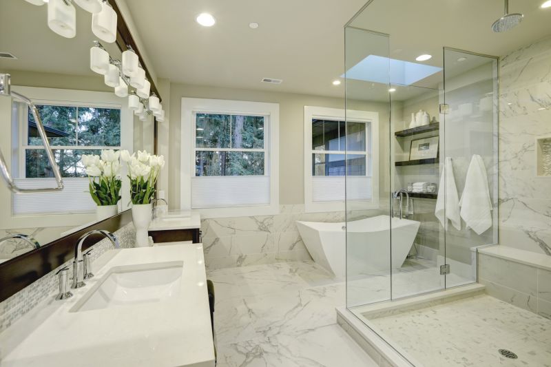 Modern Tub and Shower